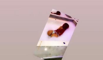 2676296196, female escort, Philadelphia